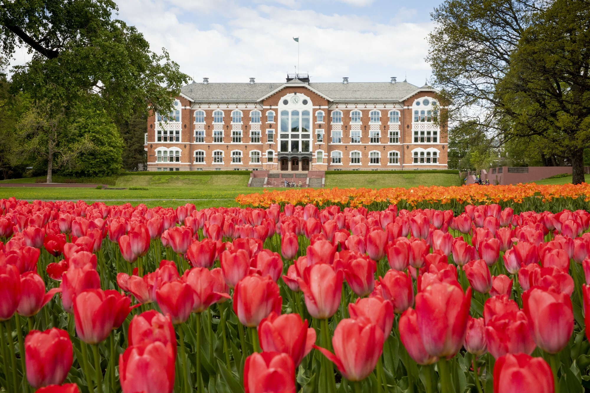 Continuing education | Oslopolitan