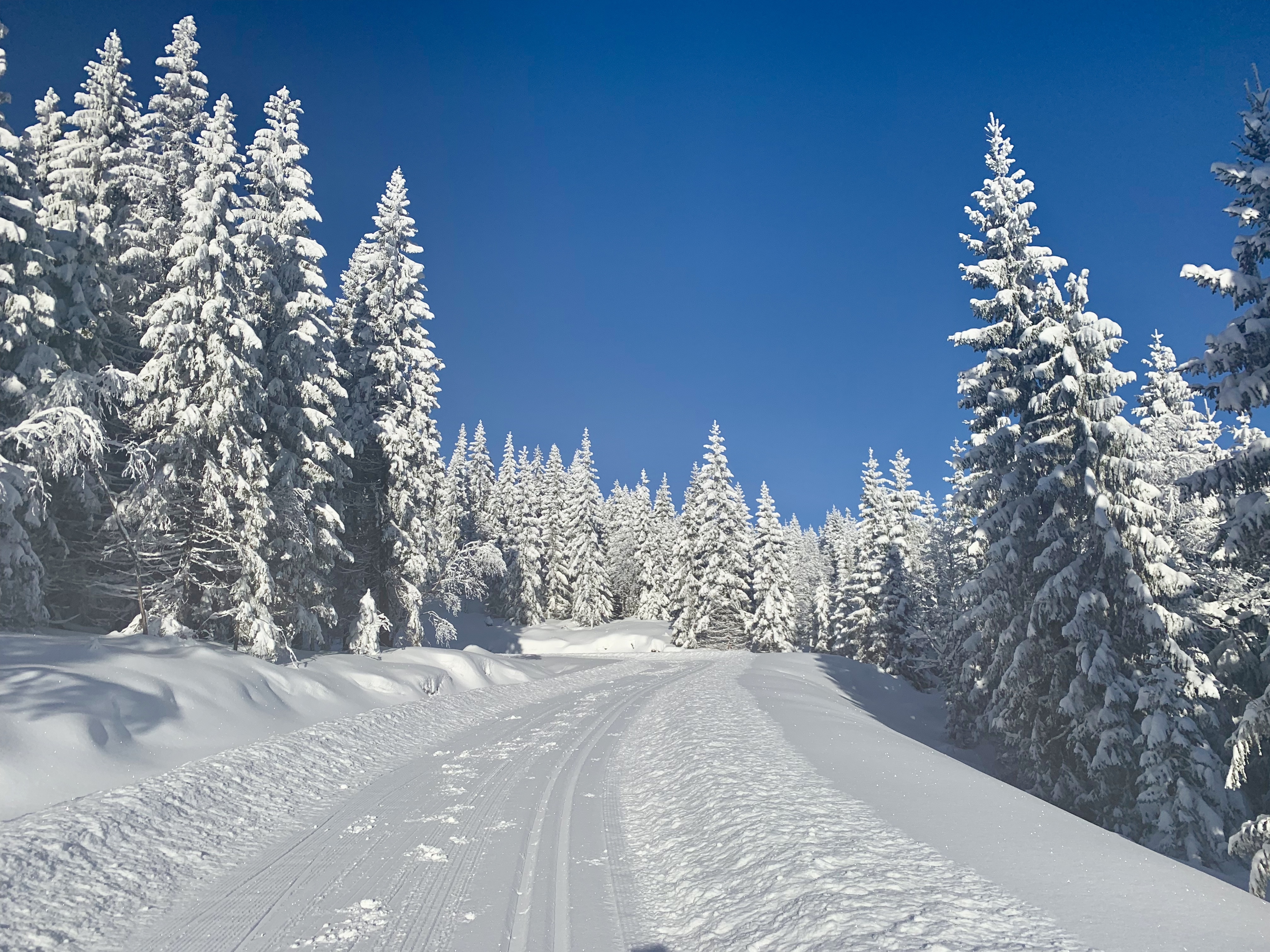 Cross-country ski track