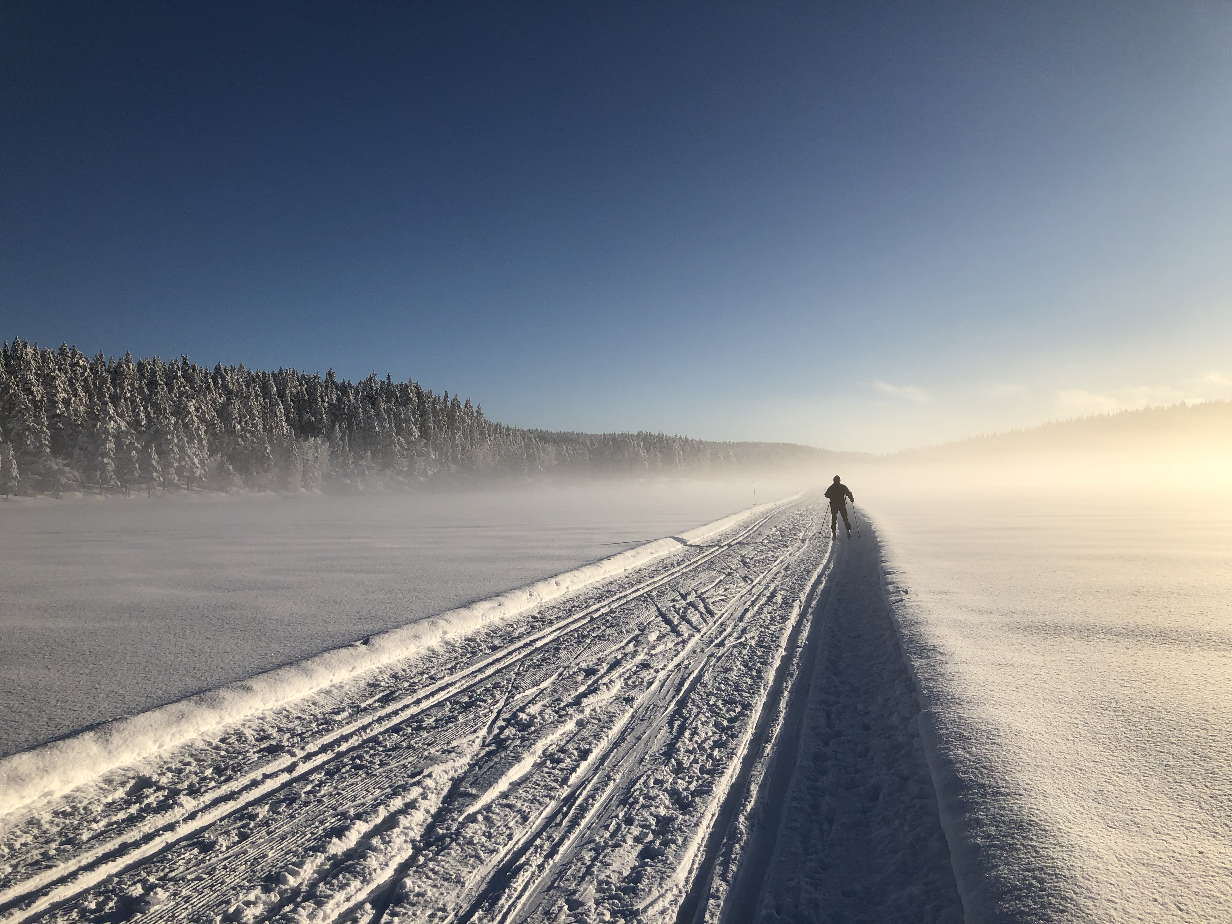 Cross-country skiing in Oslo Thomas Bassetto