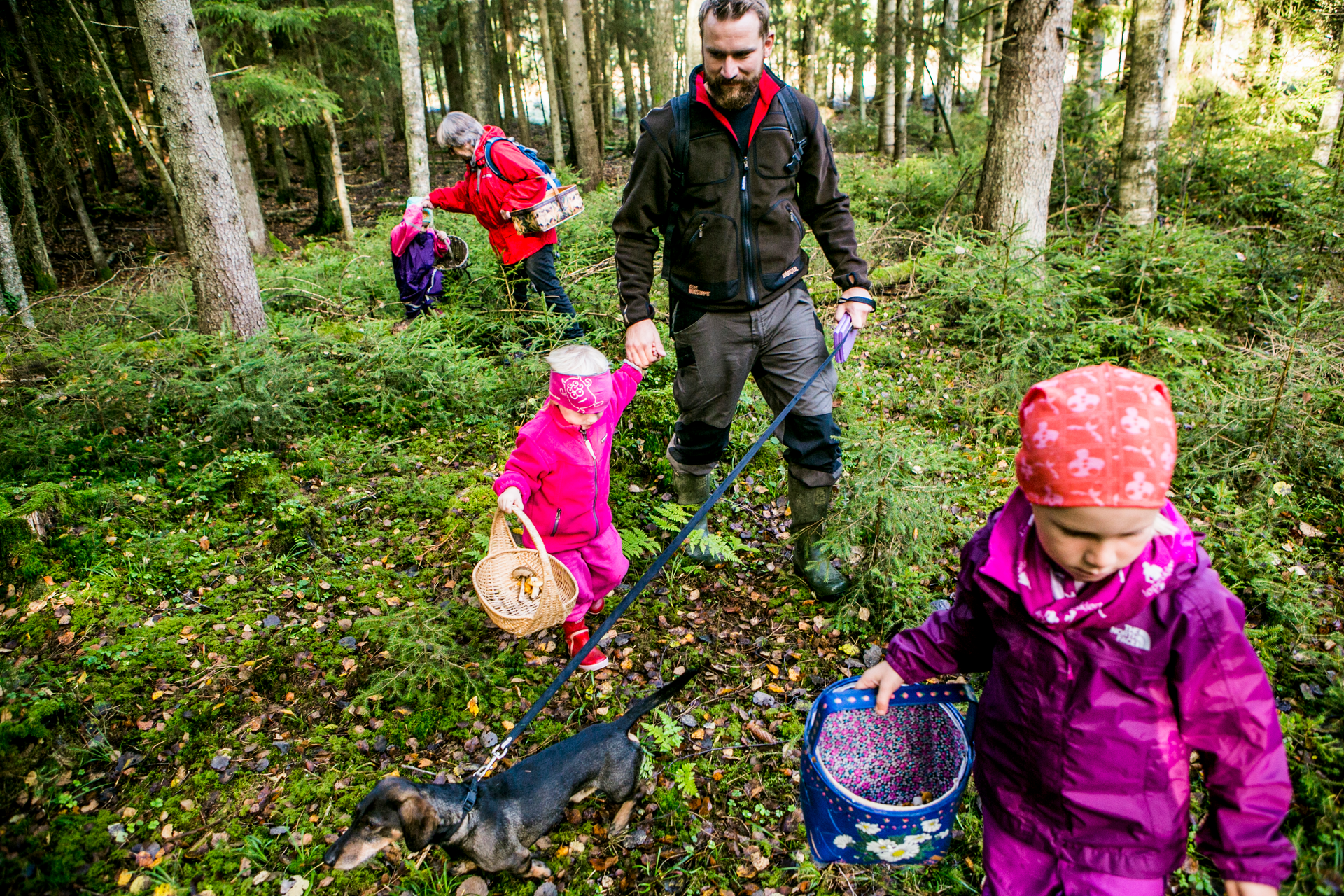 Mushroom picking in the forest Christian Roth Christensen Visit Norway com